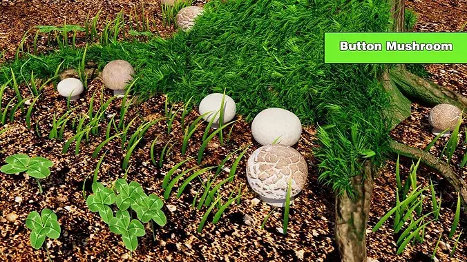 Button Mushroom Low-poly 3D model