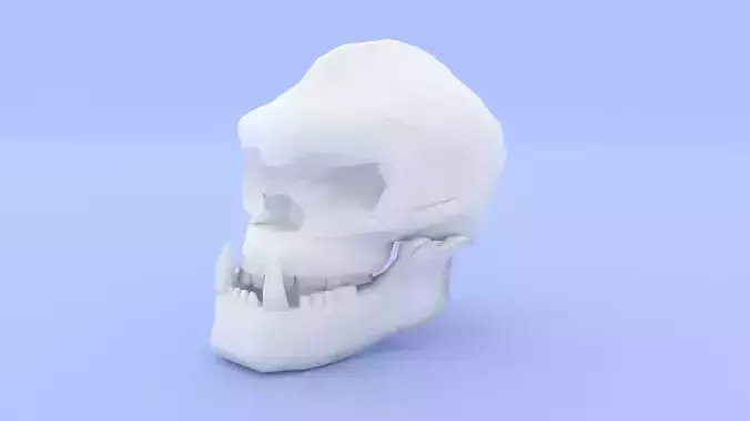 Orc Skull