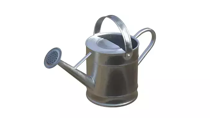 Metal Watering Can