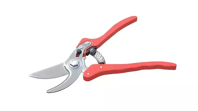 Pruning Shears  