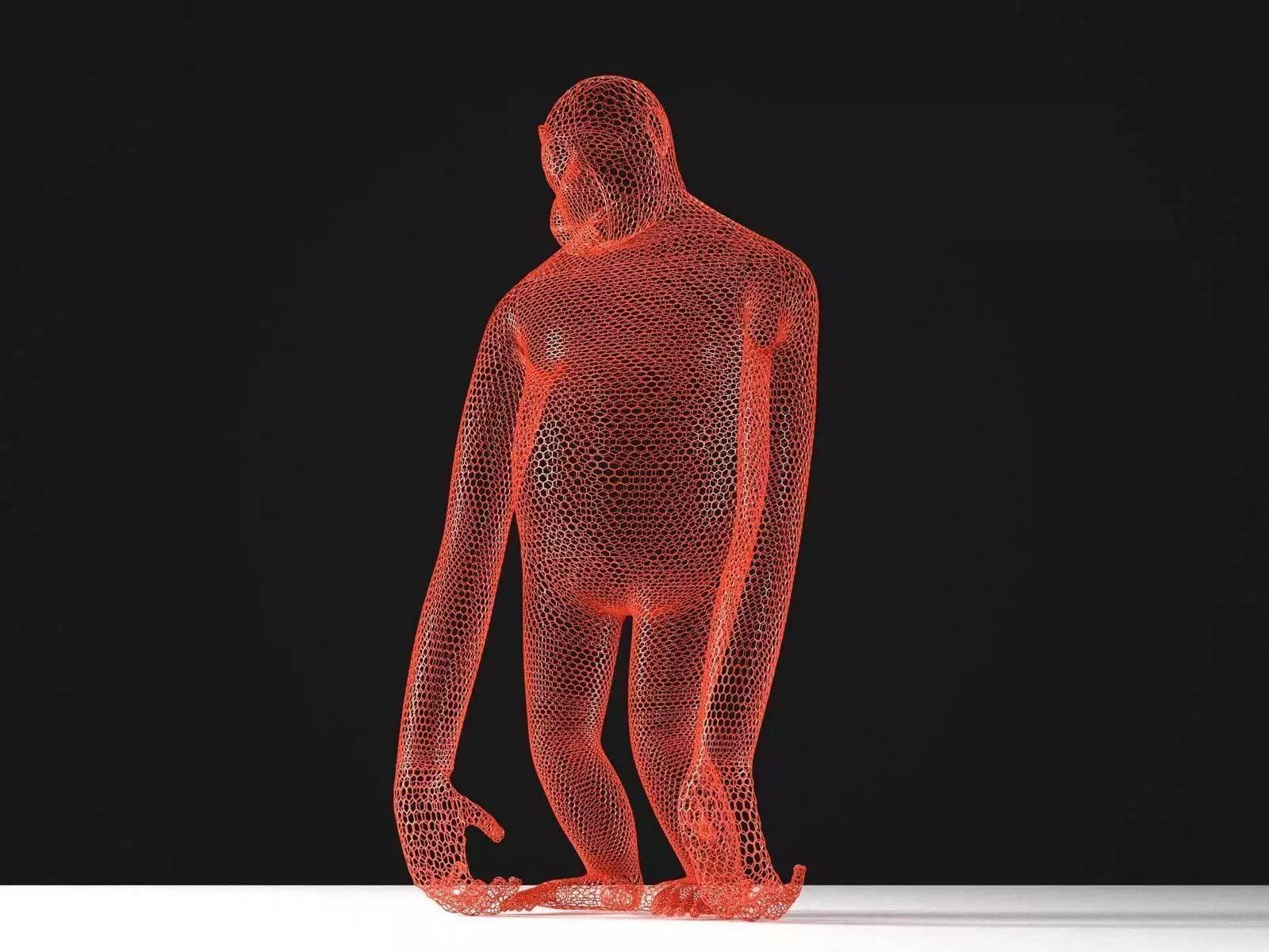 Wired Chimpanzee Sculpture 3D model_0