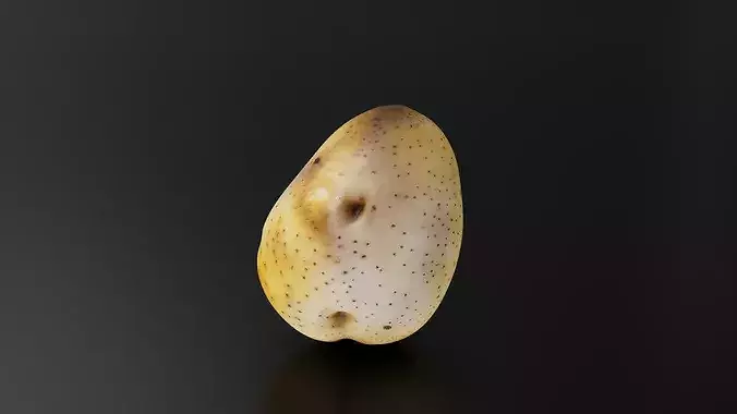 Potato 01 3D print model 4