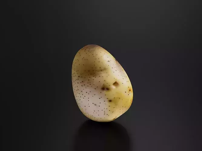 Potato 01 3D print model