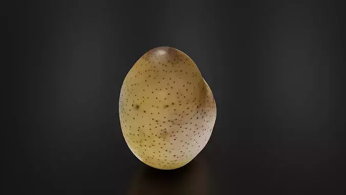 Potato 01 3D print model 5