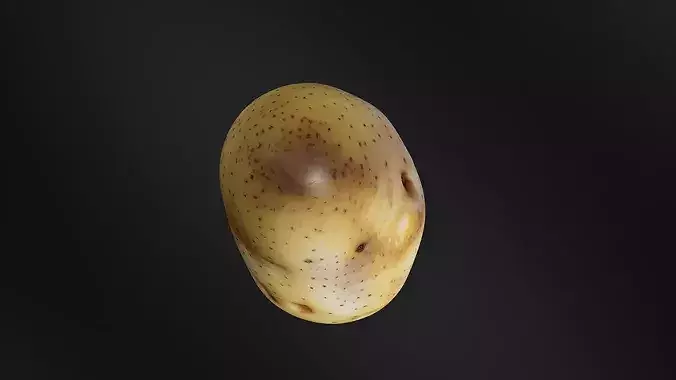Potato 01 3D print model 6