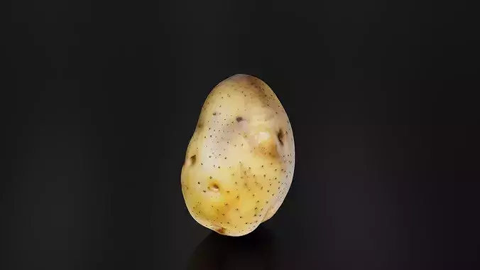 Potato 01 3D print model 3