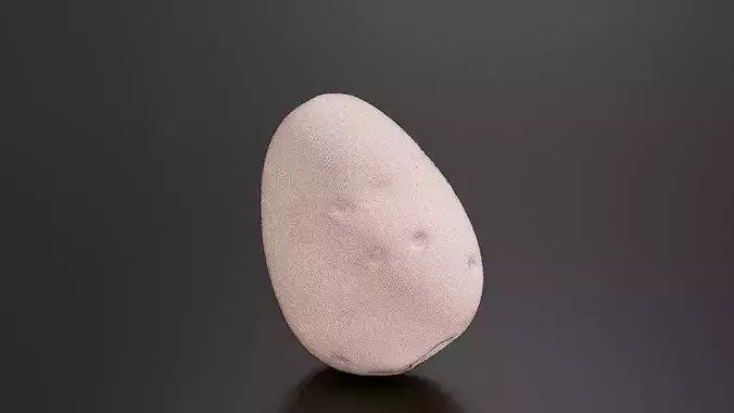 Potato 01 3D print model 7