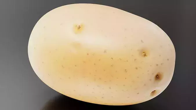 Potato 02 3D print model 4
