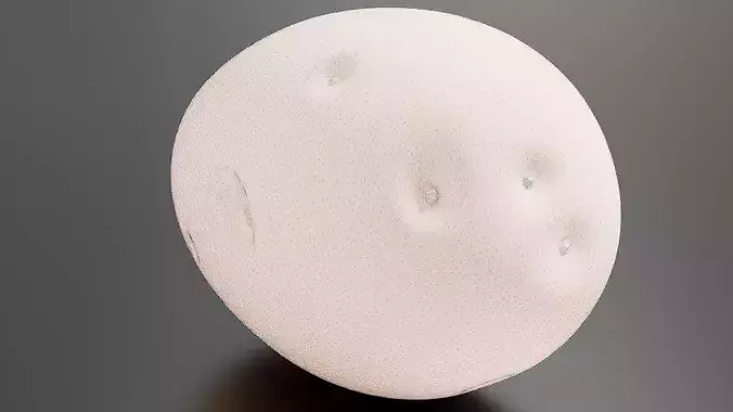 Potato 02 3D print model 7