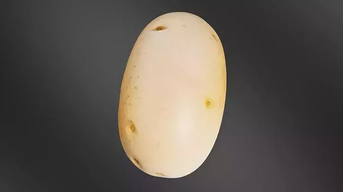 Potato 02 3D print model 6