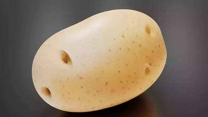 Potato 02 3D print model 5