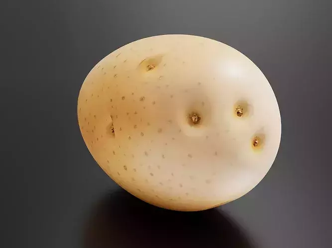 Potato 02 3D print model