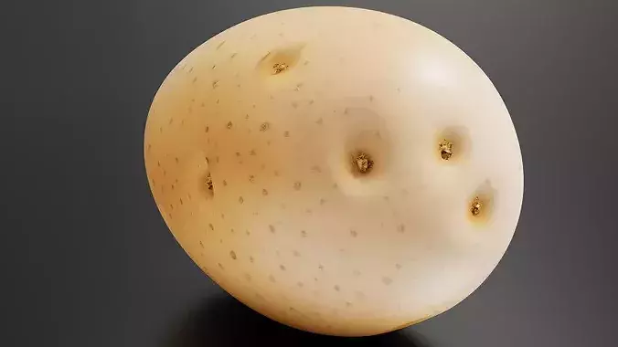 Potato 02 3D print model 2