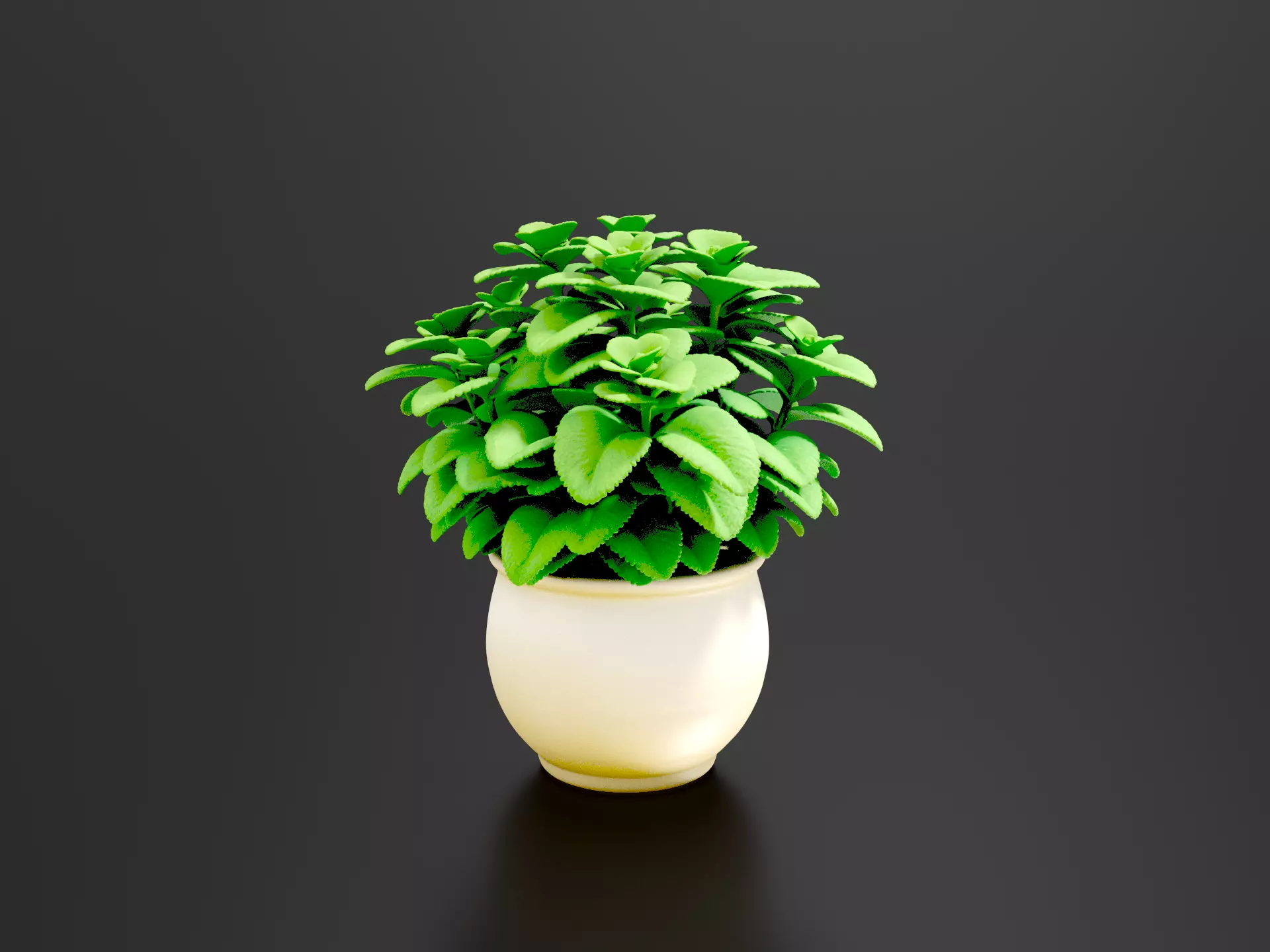 Potted Mint Plant 3D print model