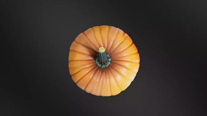 Pumpkin 01 3D print model 6