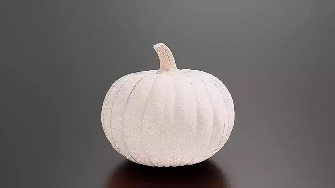 Pumpkin 02 3D print model 7