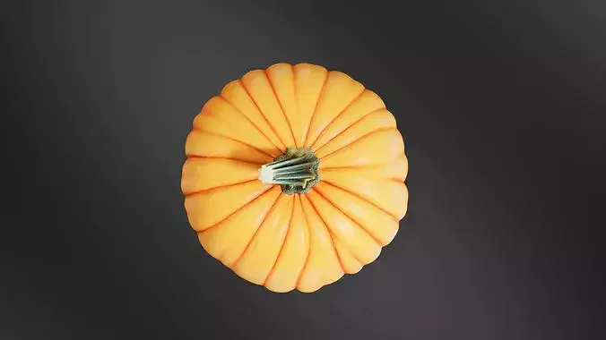 Pumpkin 02 3D print model 6