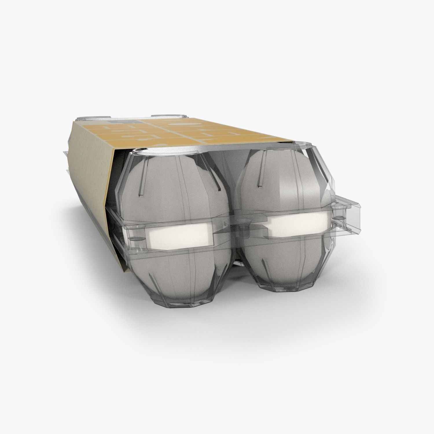 Clear Plastic Dozen Egg Packaging  3D model_2