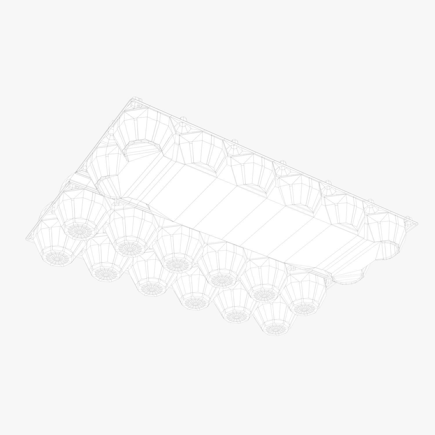 Clear Plastic Dozen Egg Packaging  3D model_12