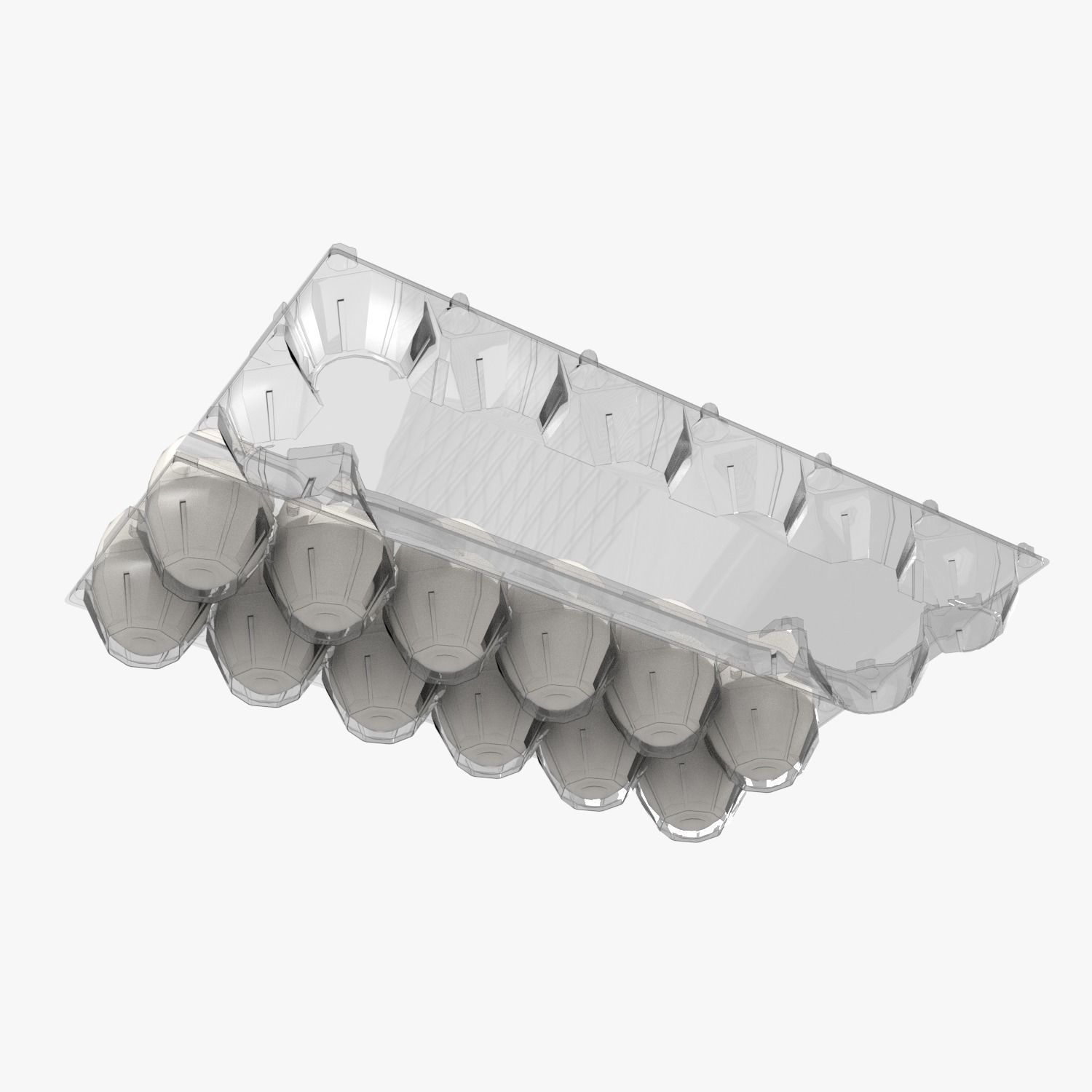 Clear Plastic Dozen Egg Packaging  3D model_8