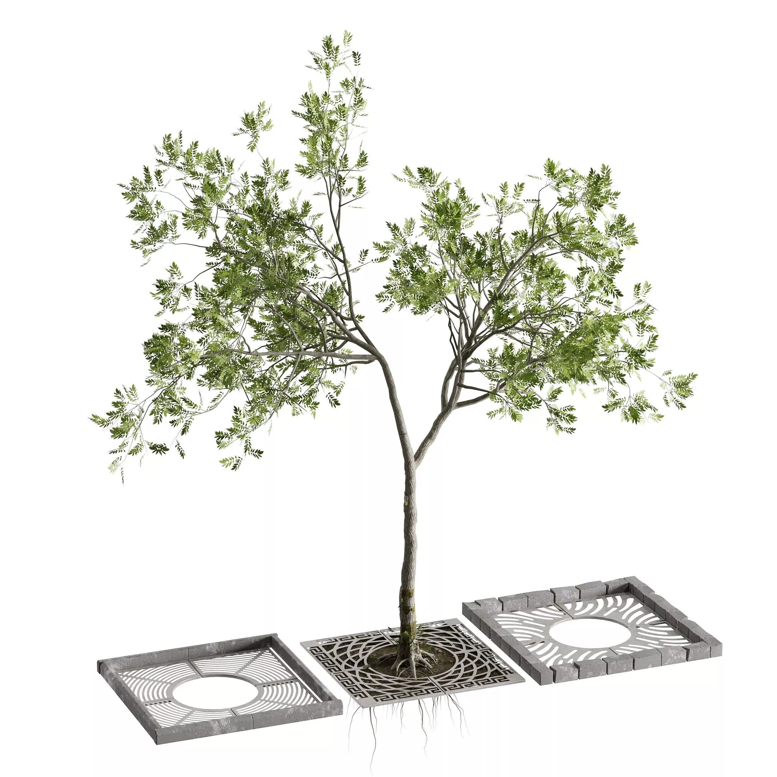 Urban Street 5 Tree Pits Low-poly 3D model