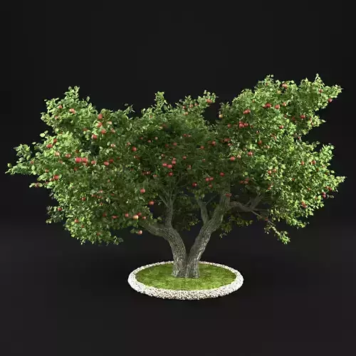 Apple Tree with Leaves