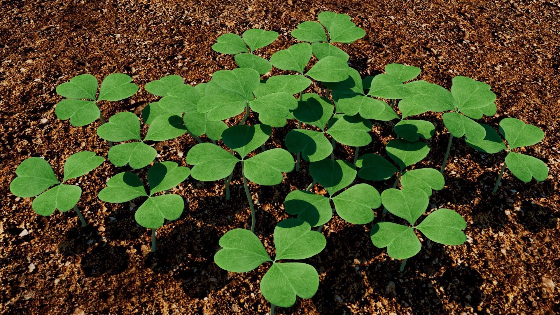 clover Low-poly 3D model