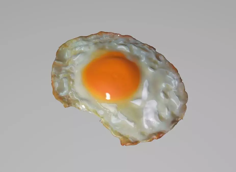 fried egg 3D model_0