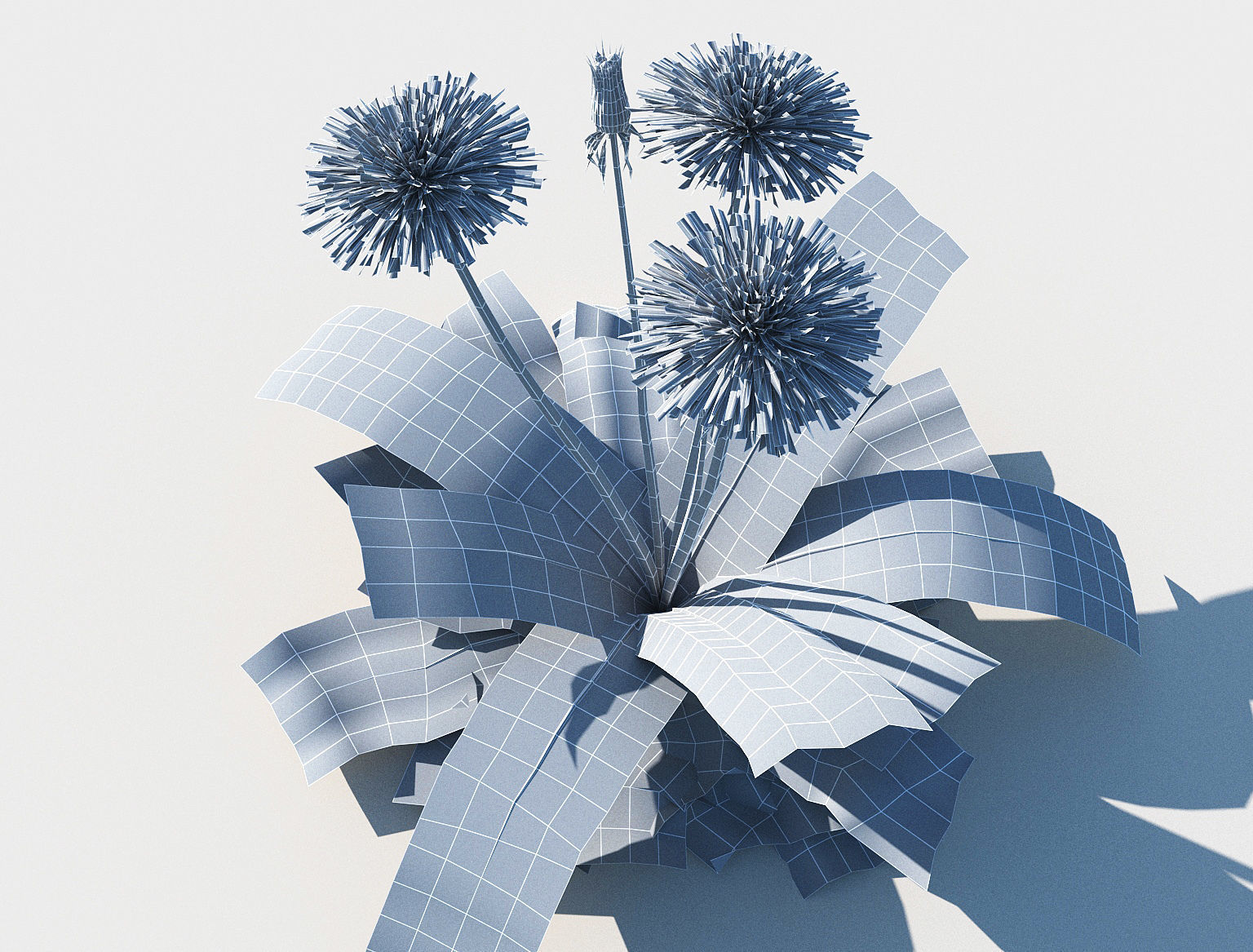 Dandelion set Low-poly 3D model_10