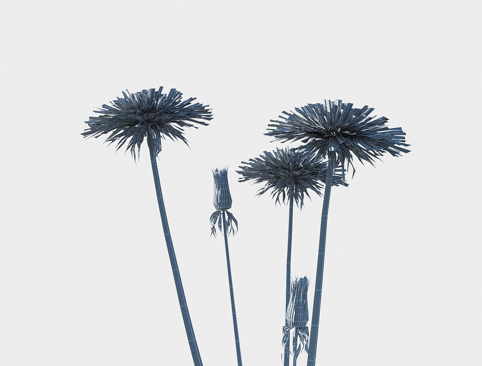 Dandelion set Low-poly 3D model_9