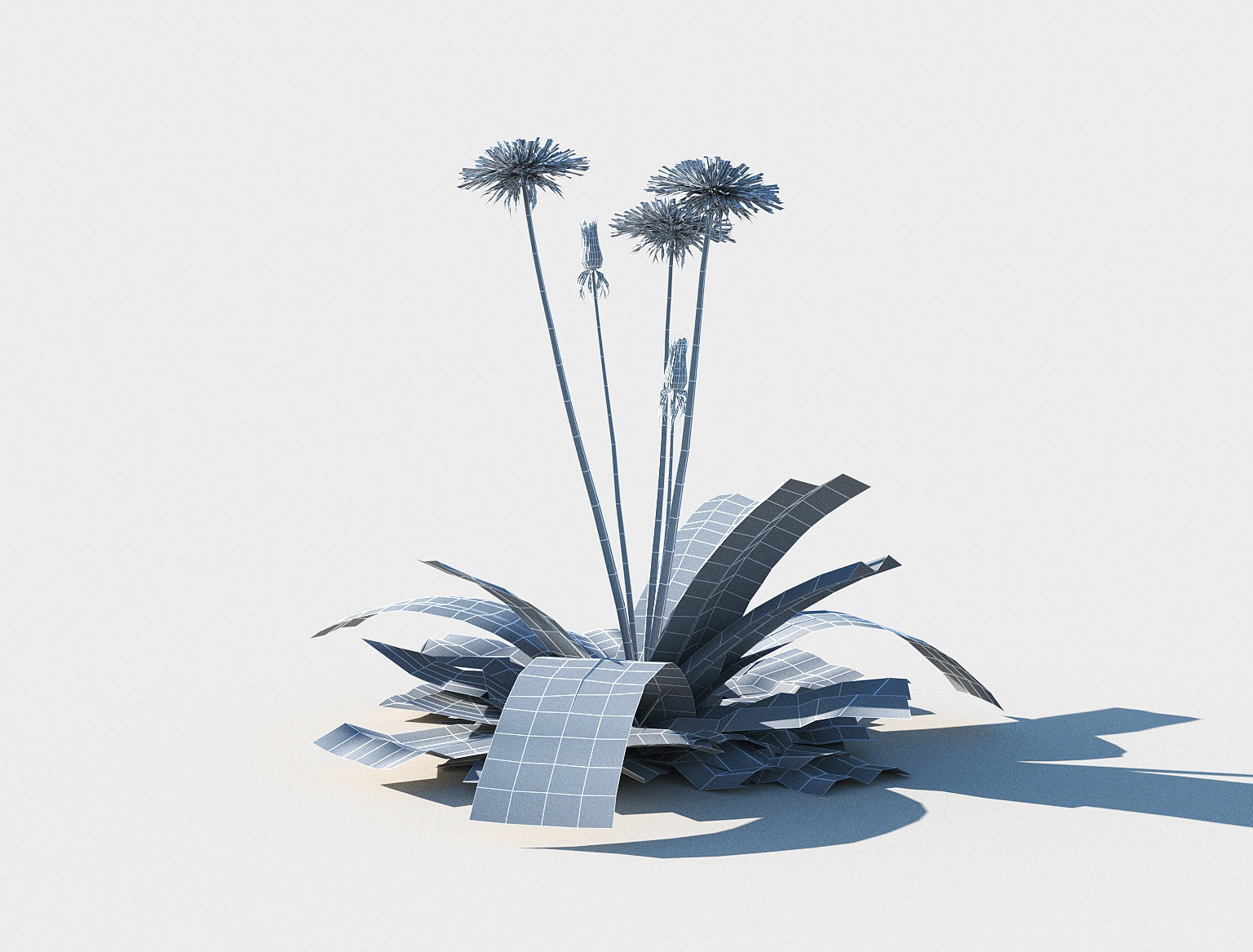 Dandelion set Low-poly 3D model_8
