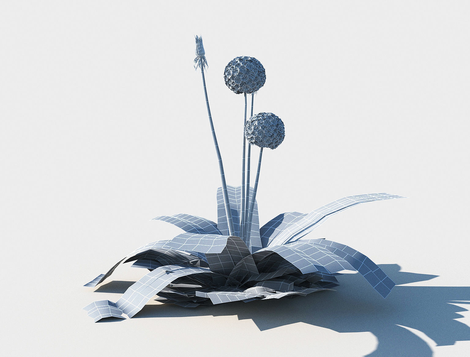 Dandelion set Low-poly 3D model_11