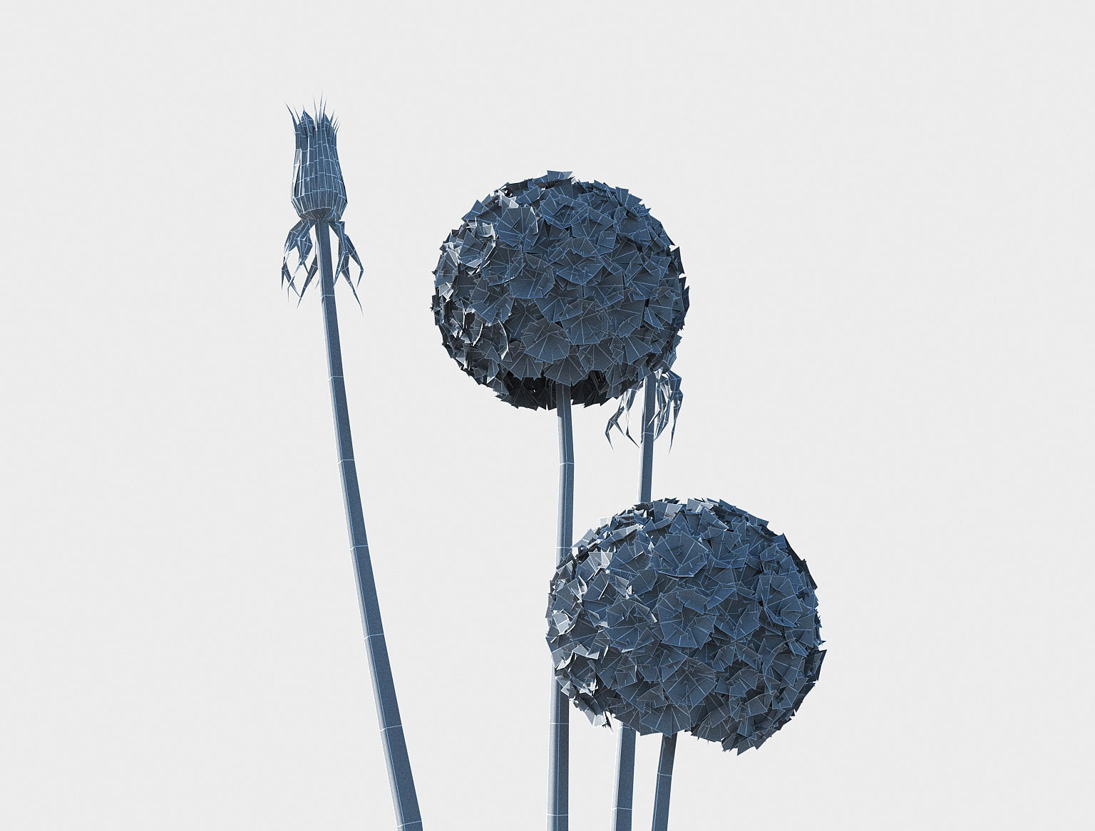 Dandelion set Low-poly 3D model_12