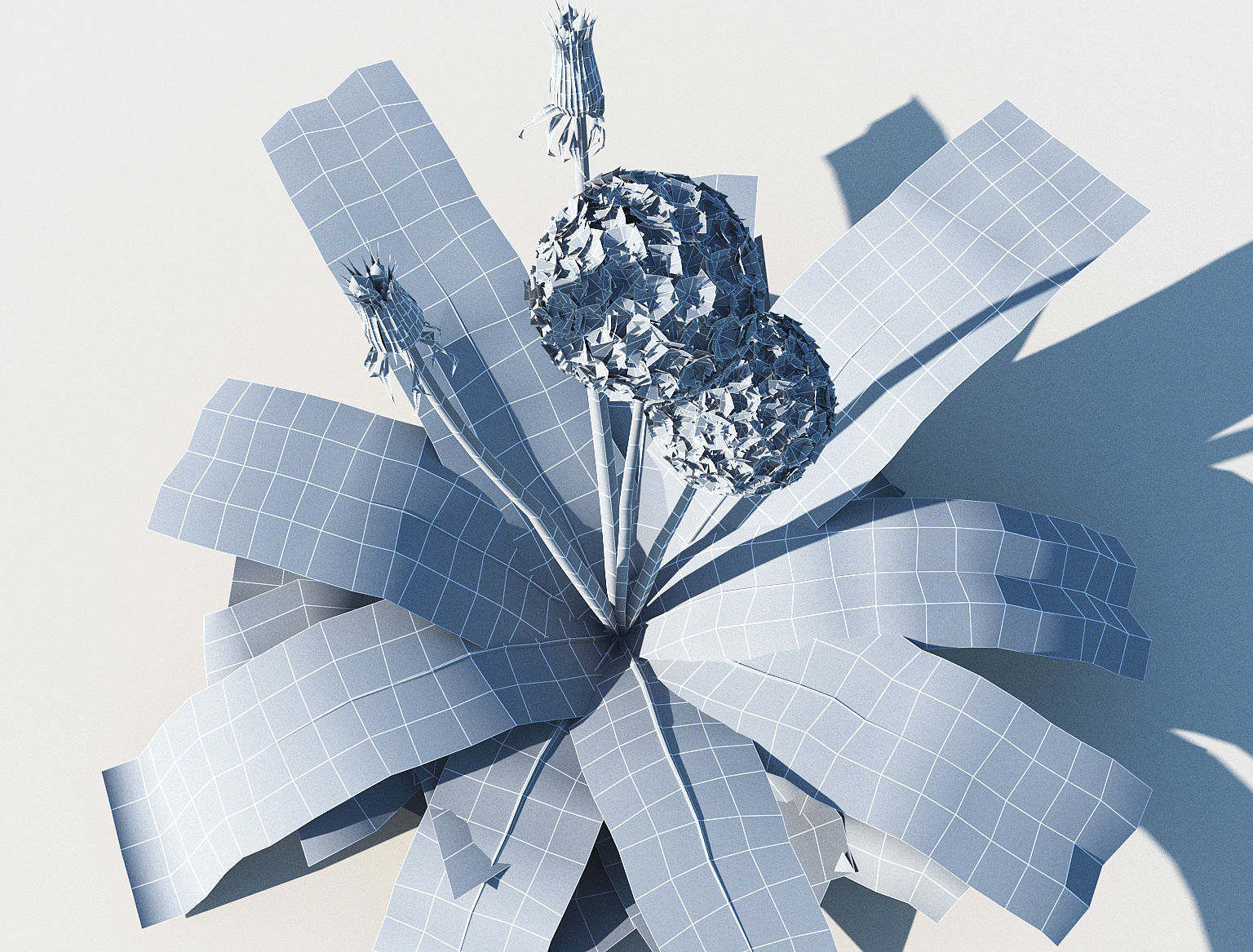 Dandelion set Low-poly 3D model_13