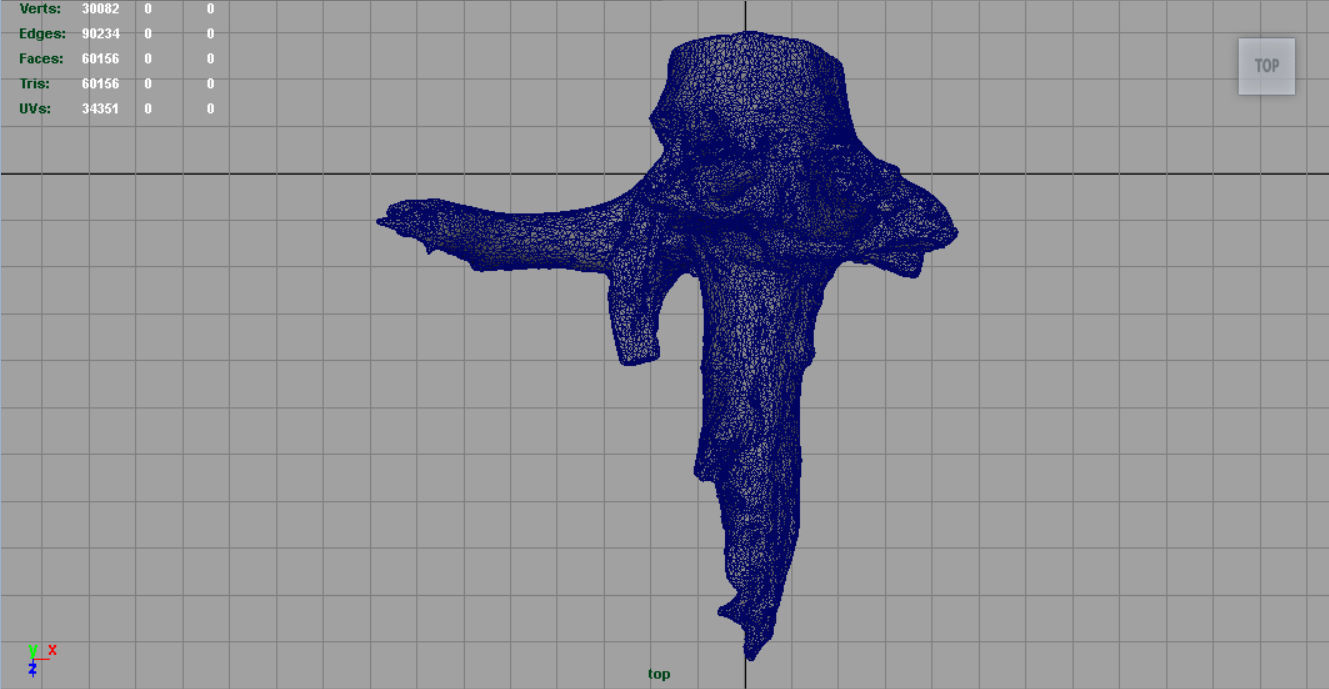 Dead trunk 2 Low-poly 3D model_10