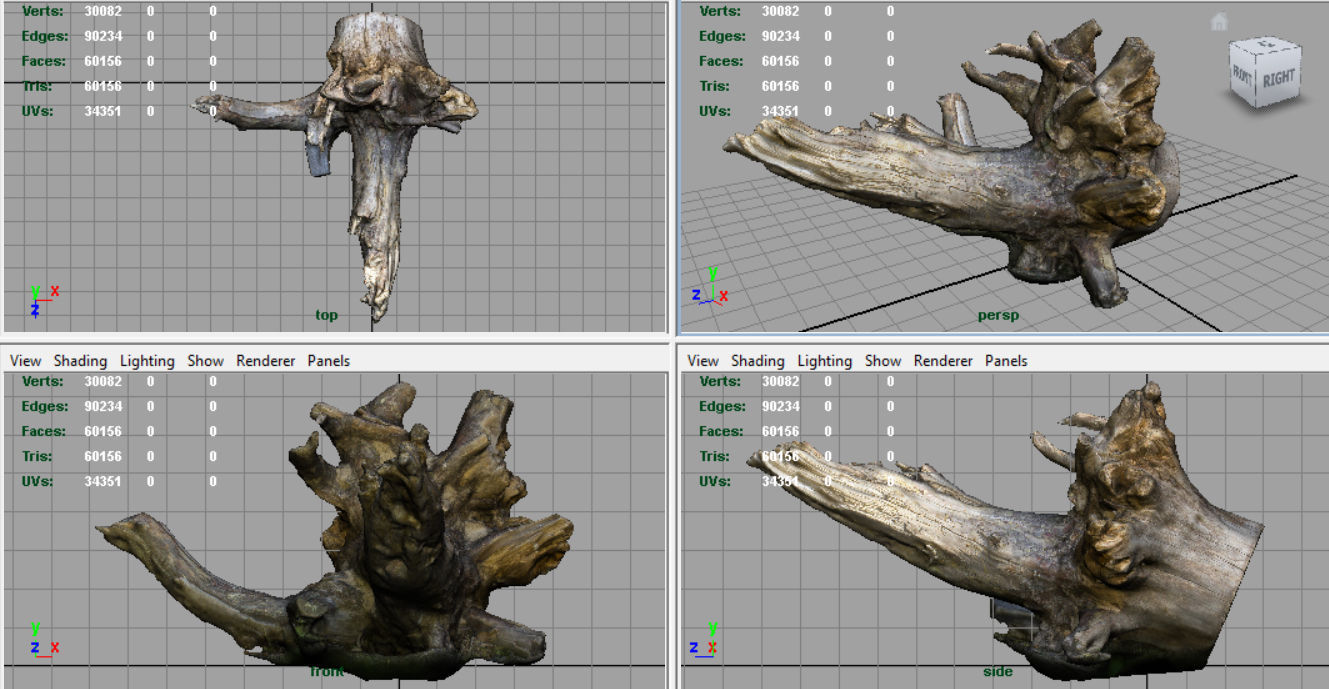 Dead trunk 2 Low-poly 3D model_7
