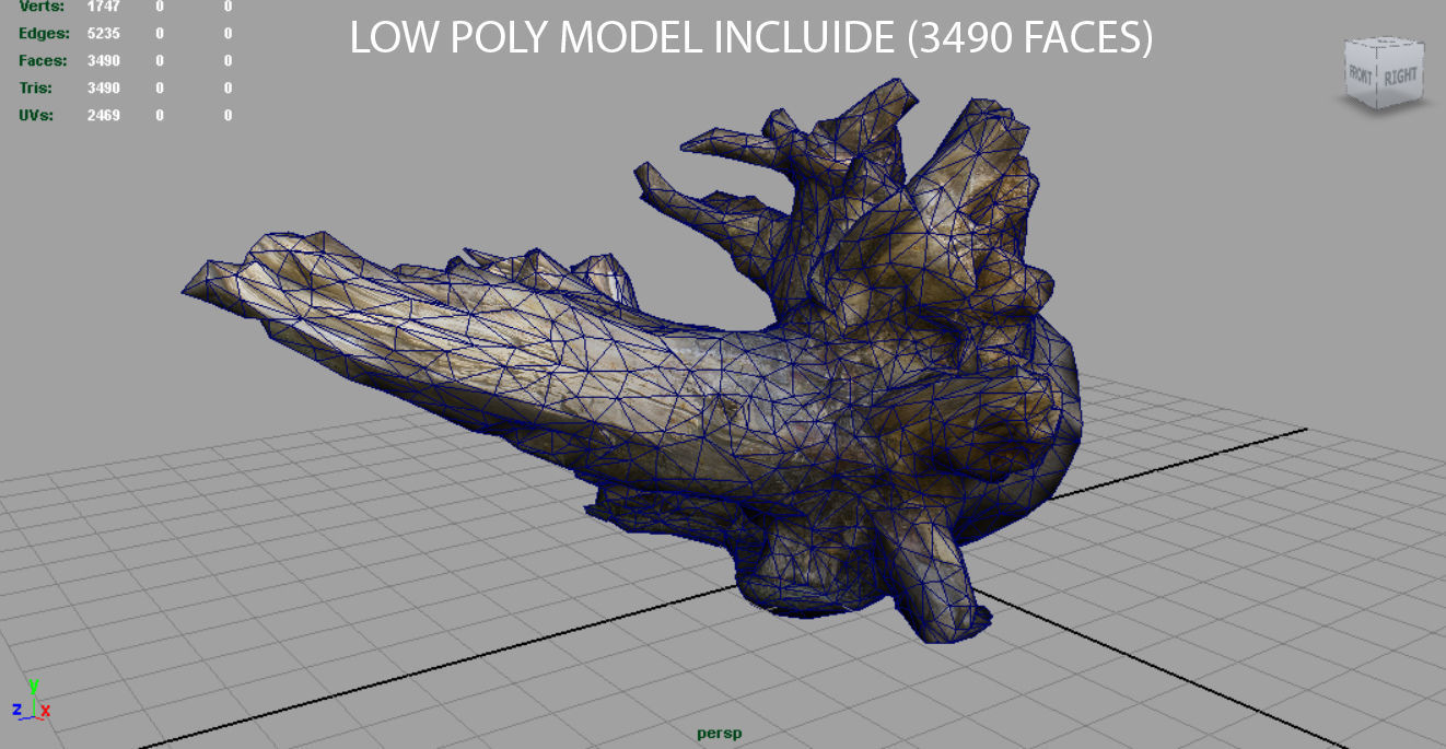Dead trunk 2 Low-poly 3D model_15