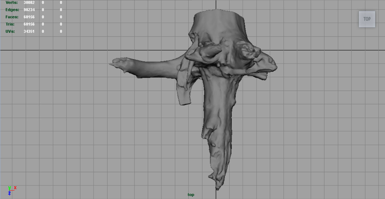 Dead trunk 2 Low-poly 3D model_11