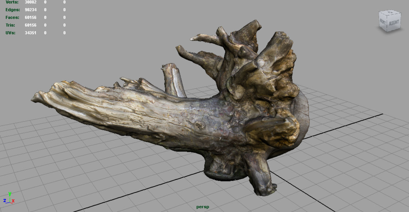 Dead trunk 2 Low-poly 3D model_3