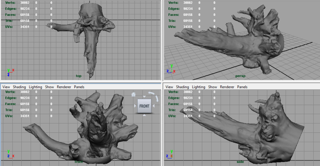 Dead trunk 2 Low-poly 3D model_8