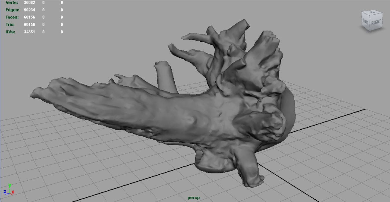 Dead trunk 2 Low-poly 3D model_4