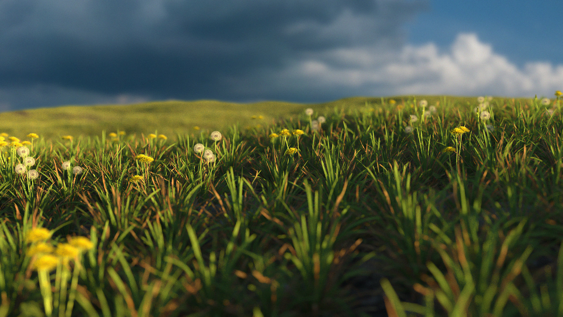 Spring field 3D model_1