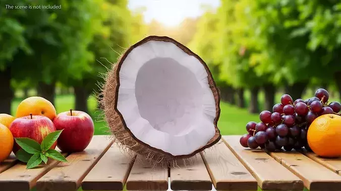 Coconut Half Fur 3D model 3