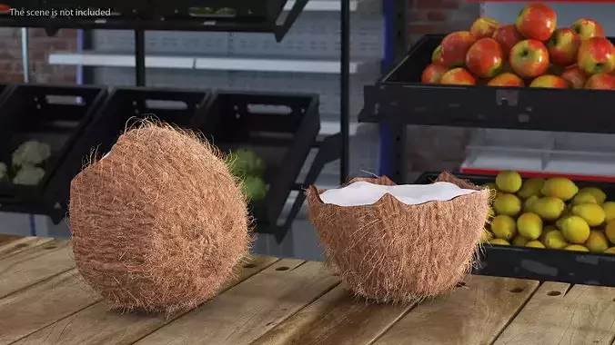 Half of Coconut Fur 3D model 3