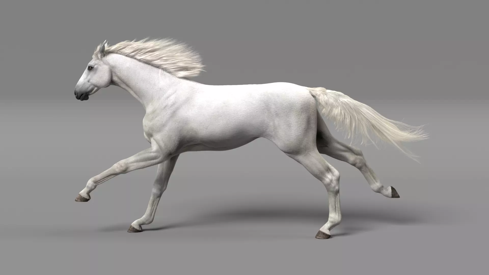 Horse 3D model