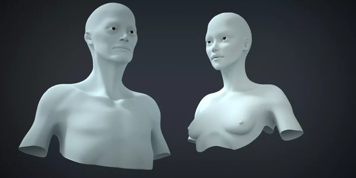 Male and Female Human Head and Neck Basemesh 3D Model 3D print model