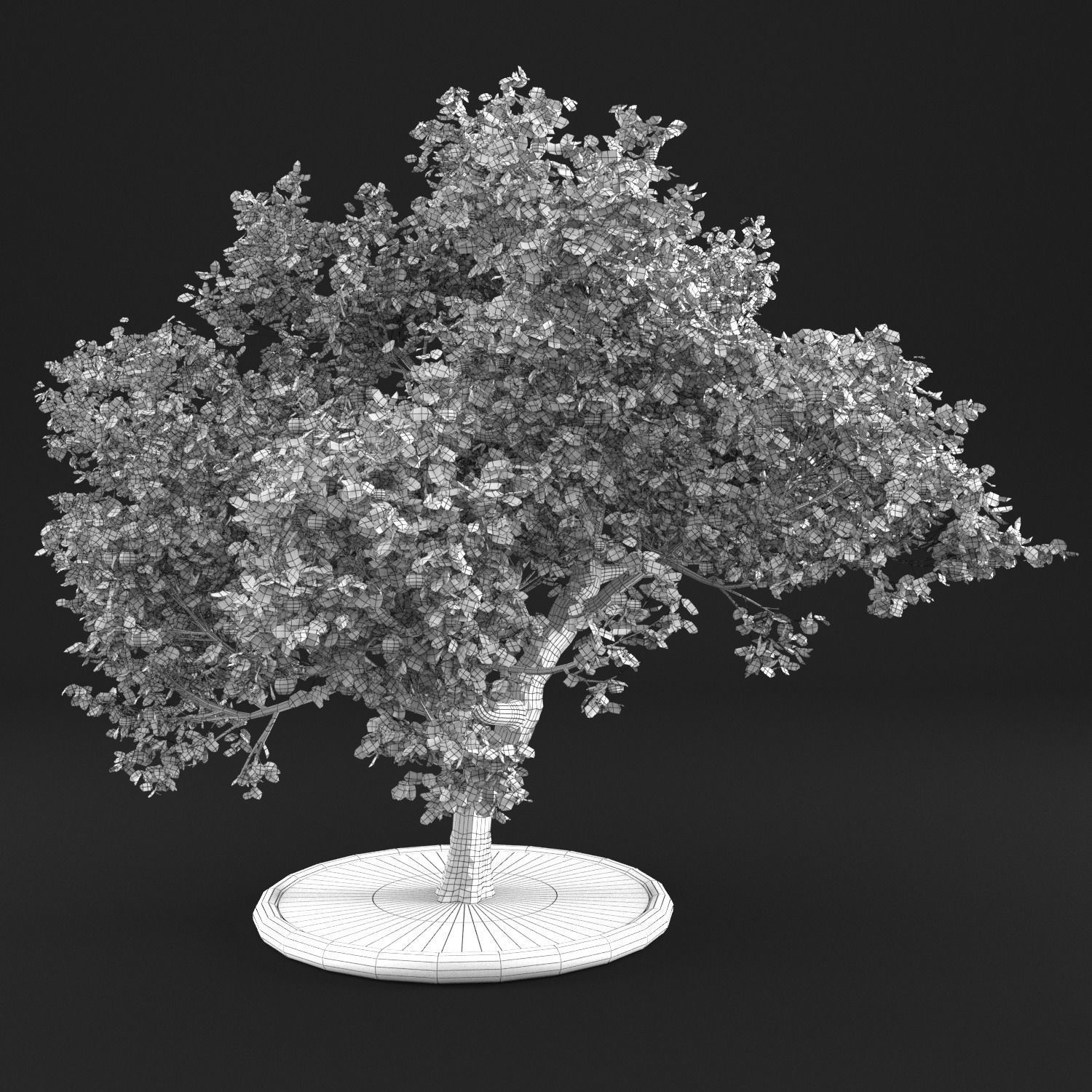 Apple tree 3D model_4
