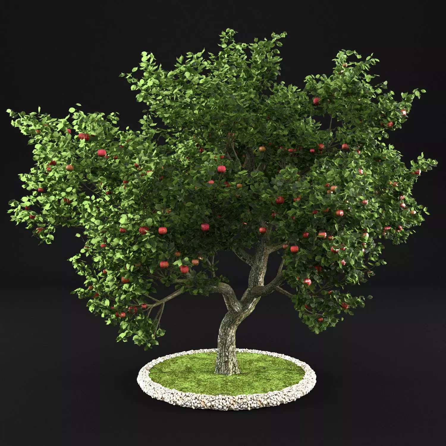 Apple tree 3D model_0