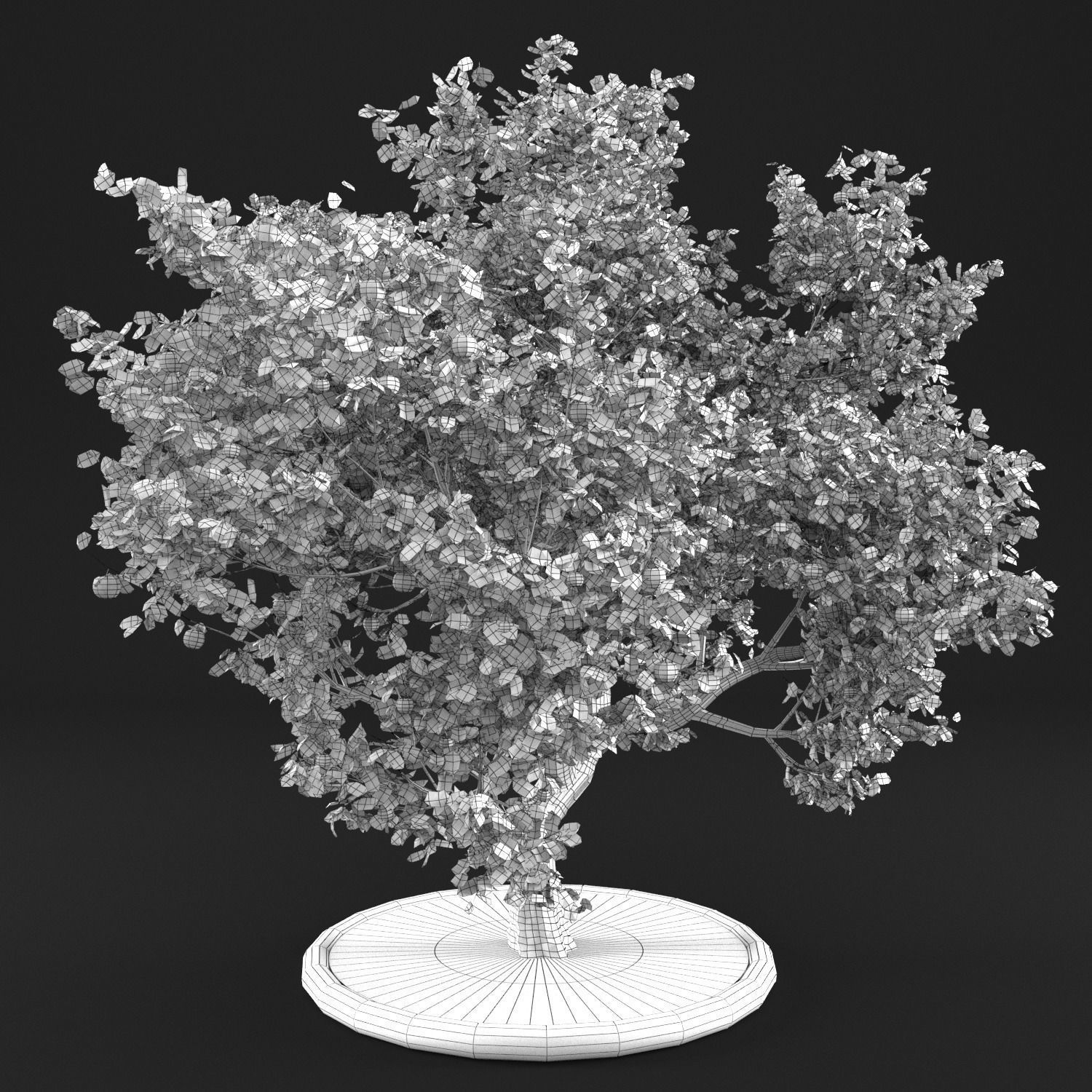 Apple tree 3D model_7
