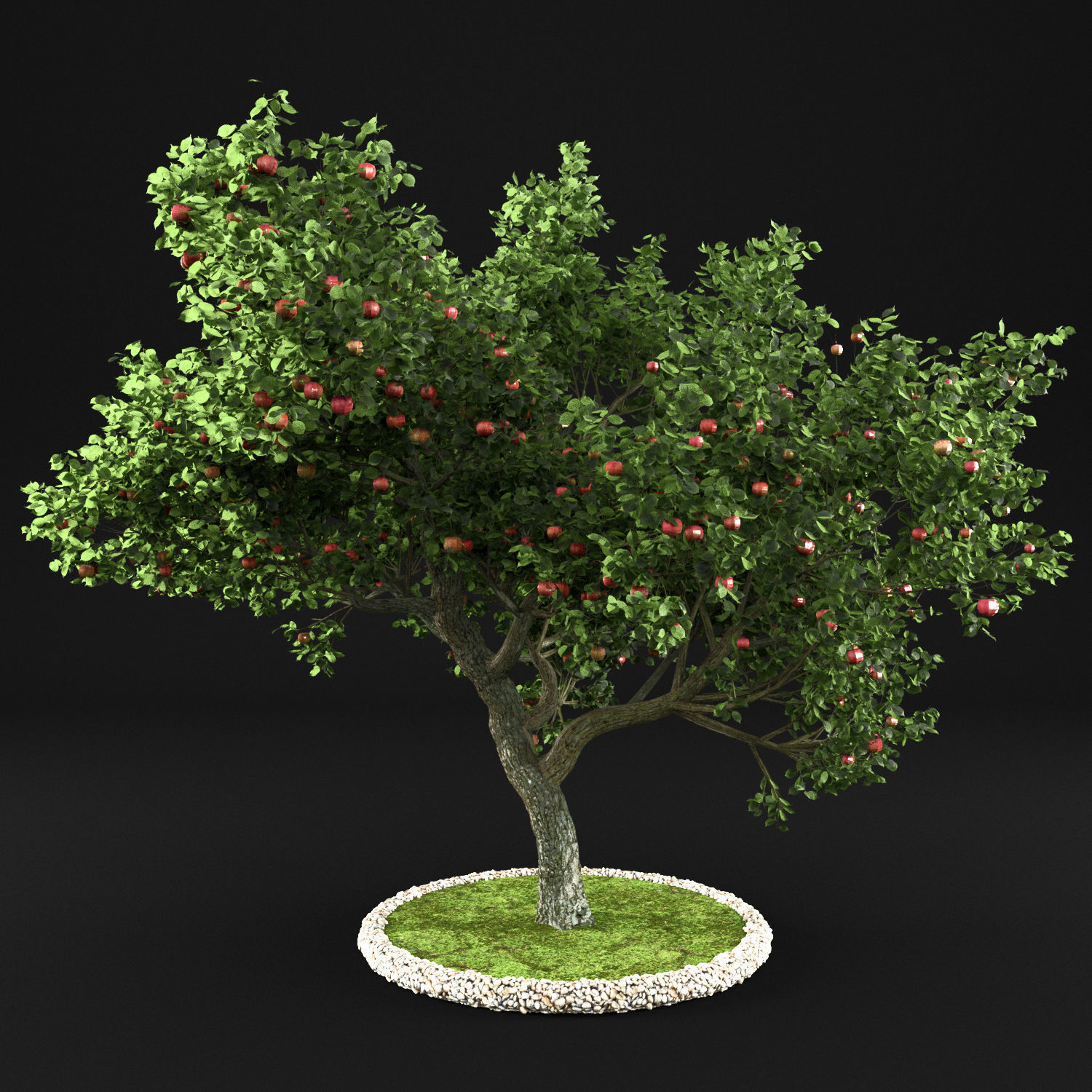 Apple tree 3D model_3